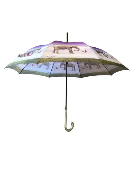 00368_23_2|079c8ca04d2fc48085928b56107258b3