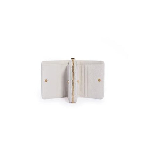 00262_113_1|33748489322dc485c3aaf017c6ea1520