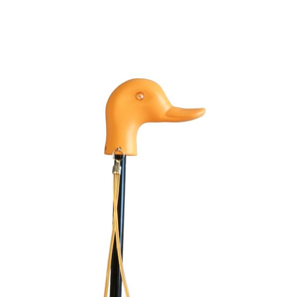 00373_139_4|168449534ac53e358c6a8738fc644e73